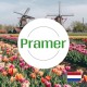 Produkcja i pakowanie posiłków (Lelystad)